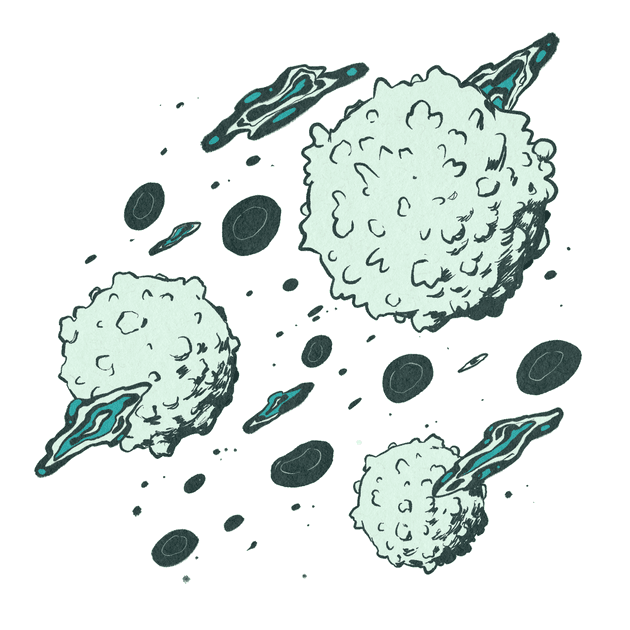 An illustration of cells