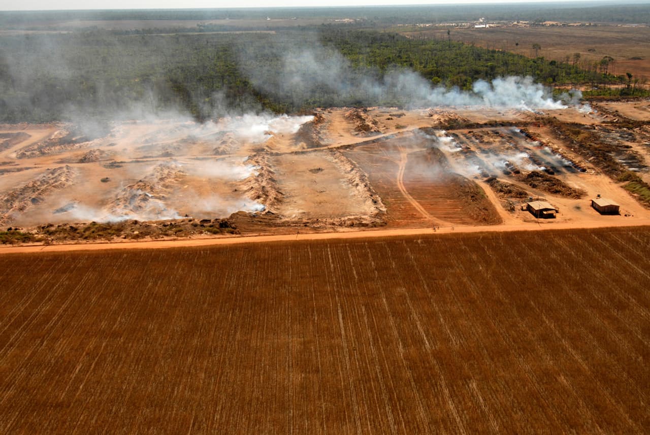 Fire on a soya plantation in the Amazon