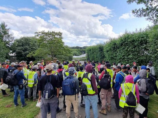 Seasonal workers strike at Haygrove farm