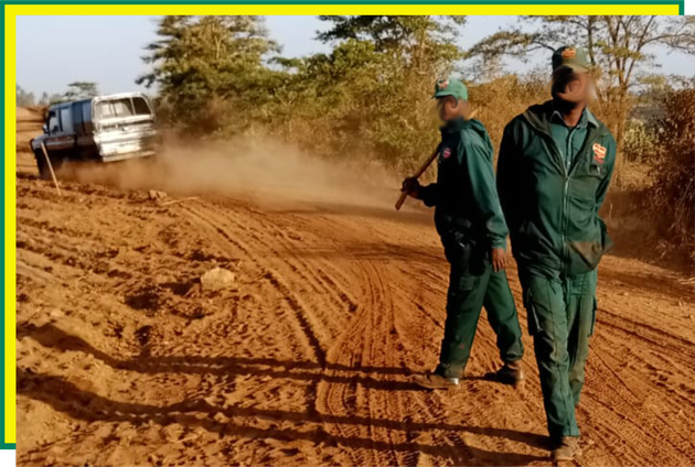 Guards armed with wooden clubs roam the Del Monte farm in Kenya