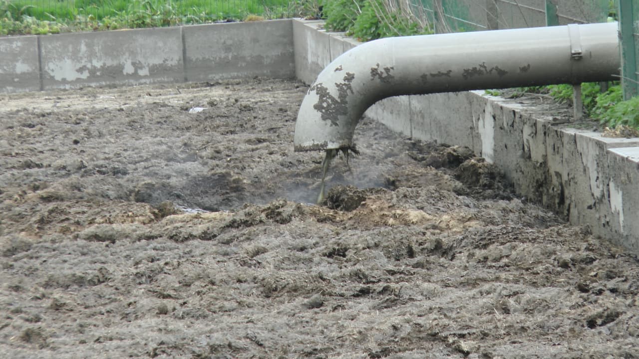A large grey pipe deposits brown liquid into a steaming pit of mostly solid brown slurry